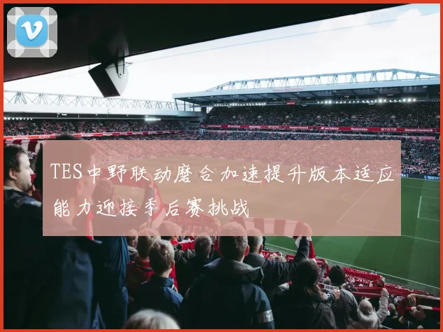 TES中野联动磨合加速提升版本适应能力迎接季后赛挑战