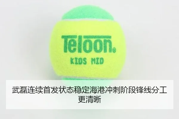 武磊连续首发状态稳定海港冲刺阶段锋线分工更清晰 - tianbo.comapp